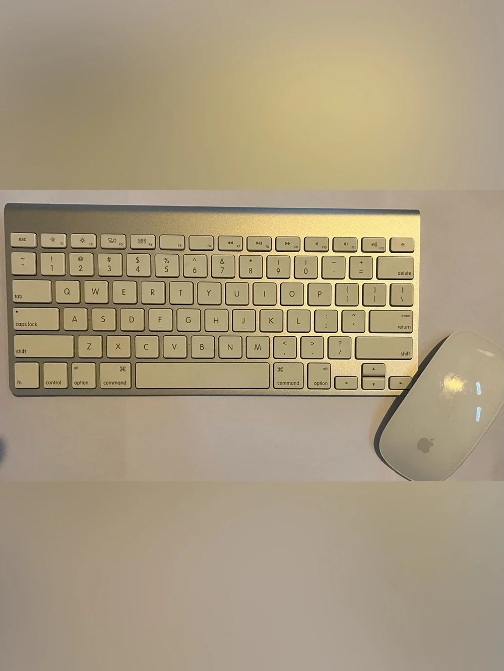 Apple Wireless Keyboard and Mouse